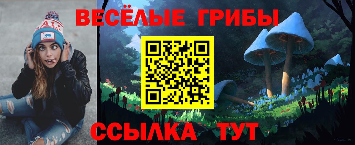 Галлюциногенные грибы ЛСД  Псилоцибиновые грибы Cubensis  дарнет шоп  Вход с VPN  Гусь-Хрустальный 